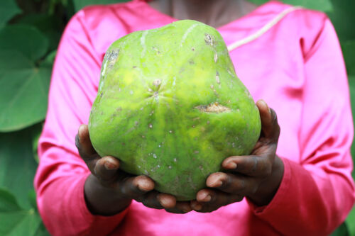 Saidat Nakayinga håller en papaya. Foto Linda Andersson.