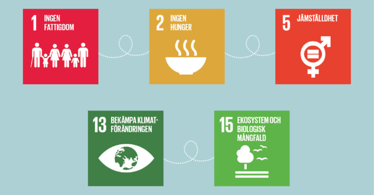 FNs Globala Mål 2030 - Vi-skogen