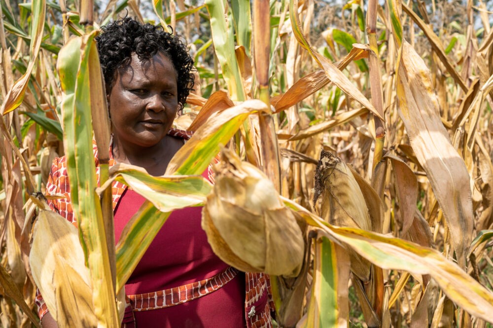 Beatrice Wamalwa. Foto: Onyango Ayany